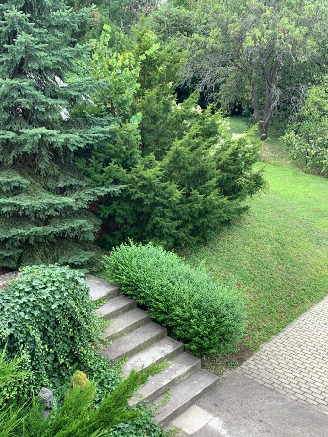 Maharaja Mountain Palace With Free Privat Parking And Garden Budapešť Exteriér fotografie
